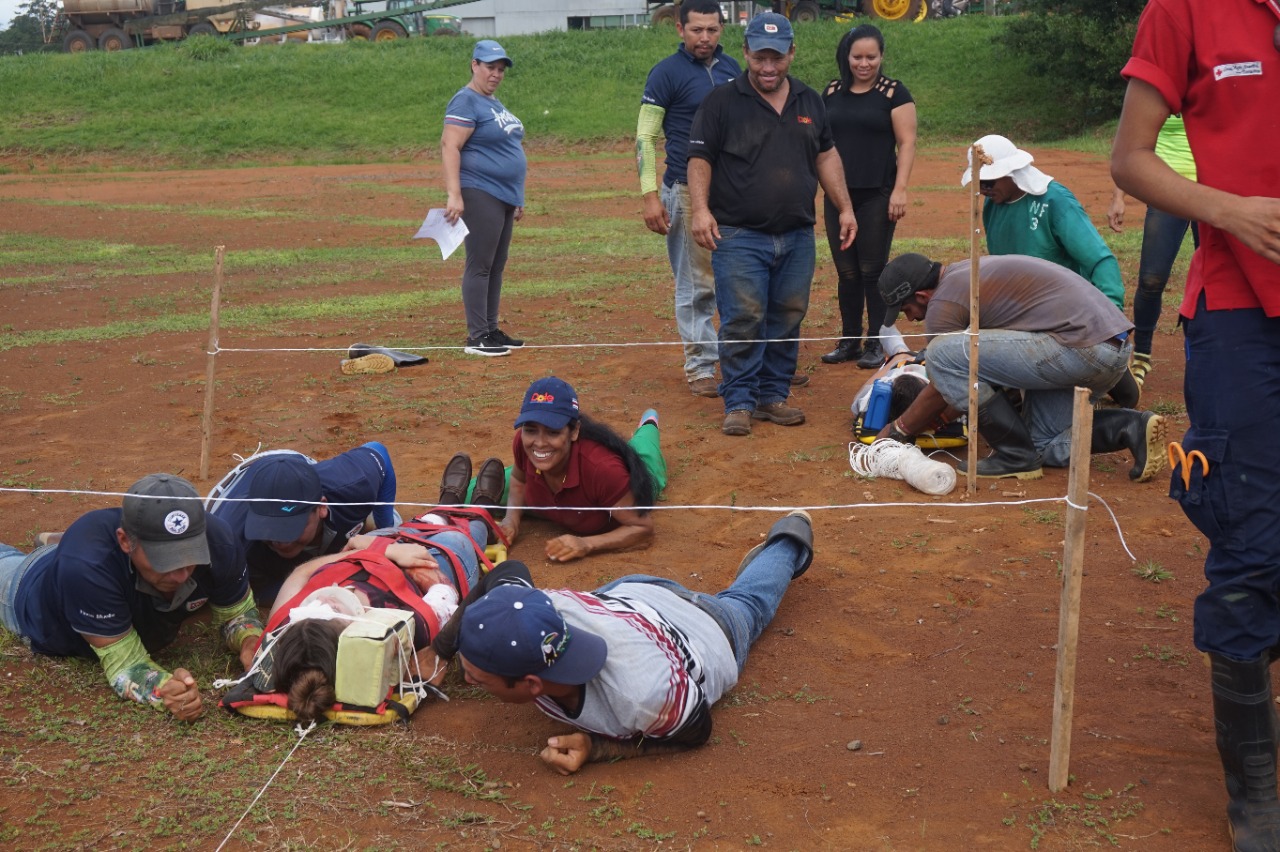 standard-fruit-company-de-costa-rica-s-a-amcham