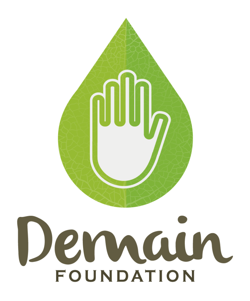 WHAT DOES DEMAIN MEAN visual data 2